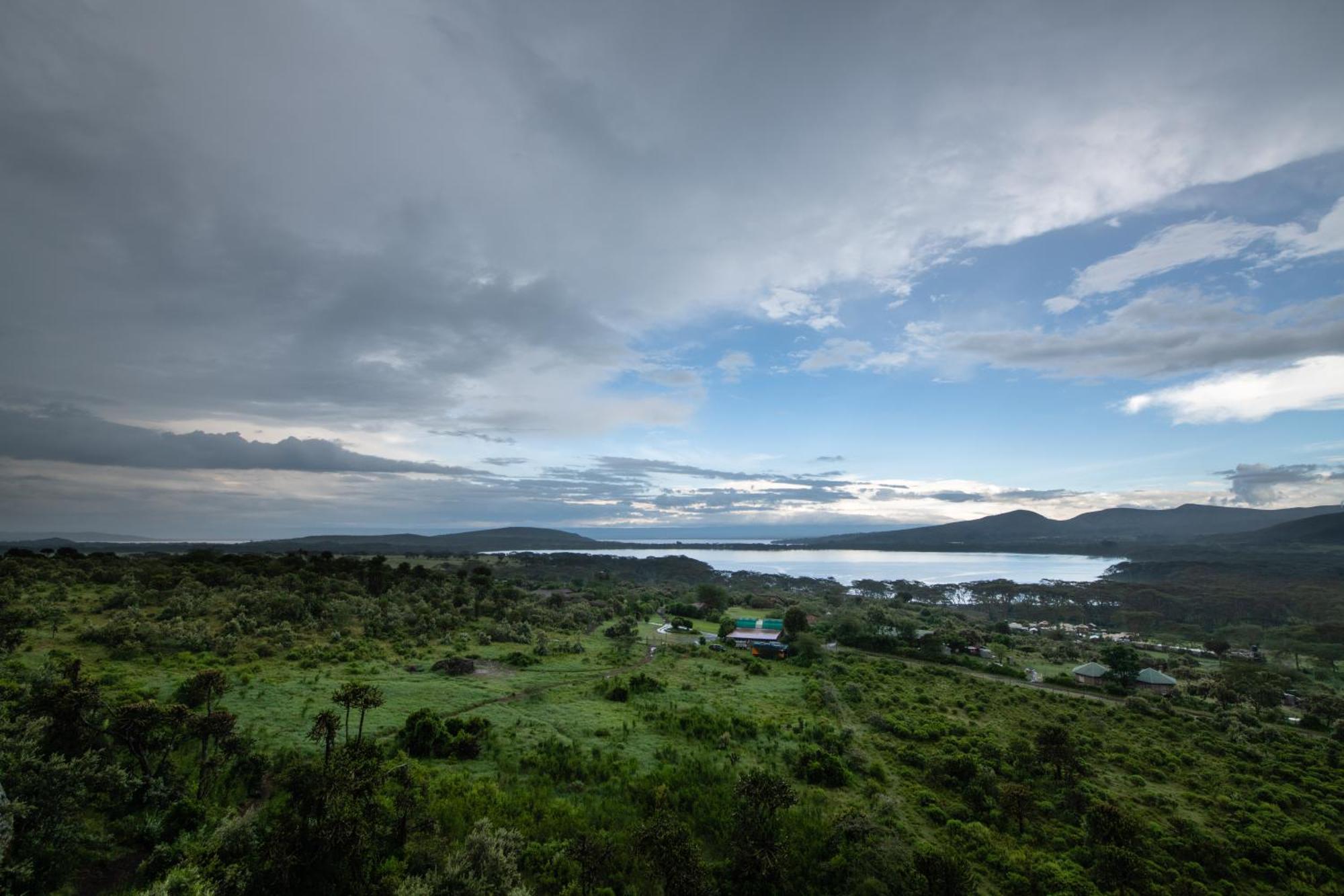 Naivasha Kongoni Lodge - Lakefront Getaway Exterior foto